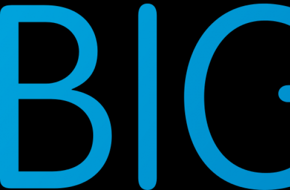 Big W Logo