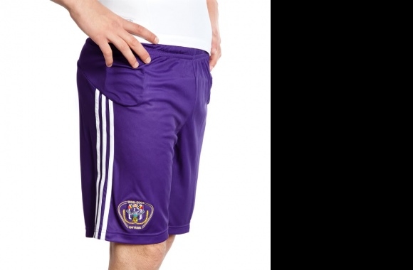 RSC Anderlecht Symbol download in high quality