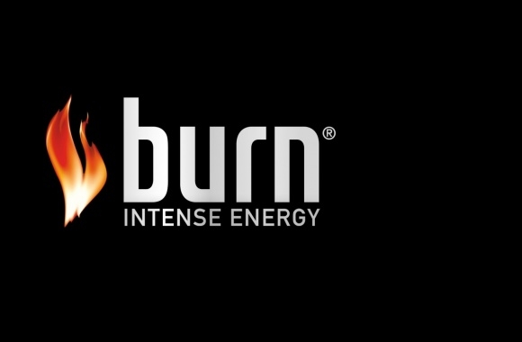Burn Logo download in high quality