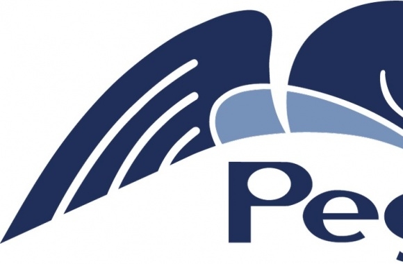 Pegasystems Logo download in high quality