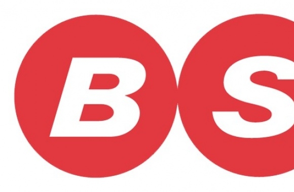BSS Logo download in high quality