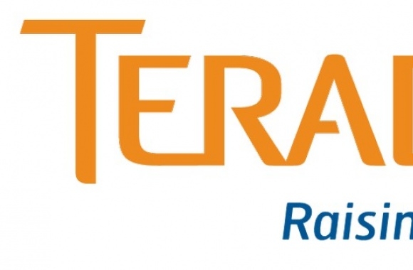 Teradata Logo download in high quality