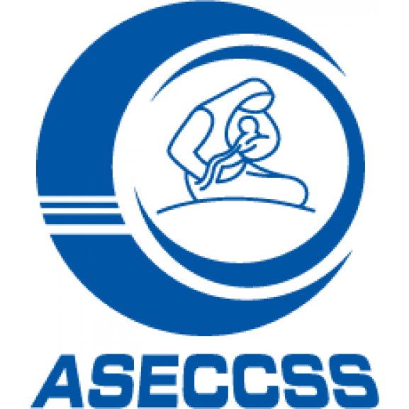 ASECCSS Logo wallpapers HD