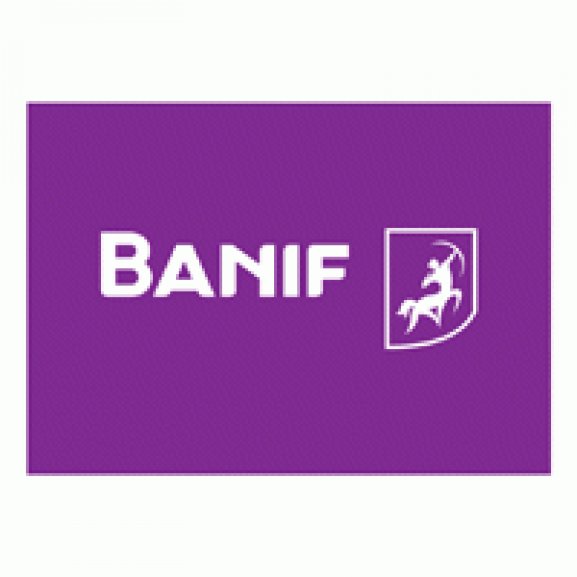Banif Horizontal Negative Logo wallpapers HD