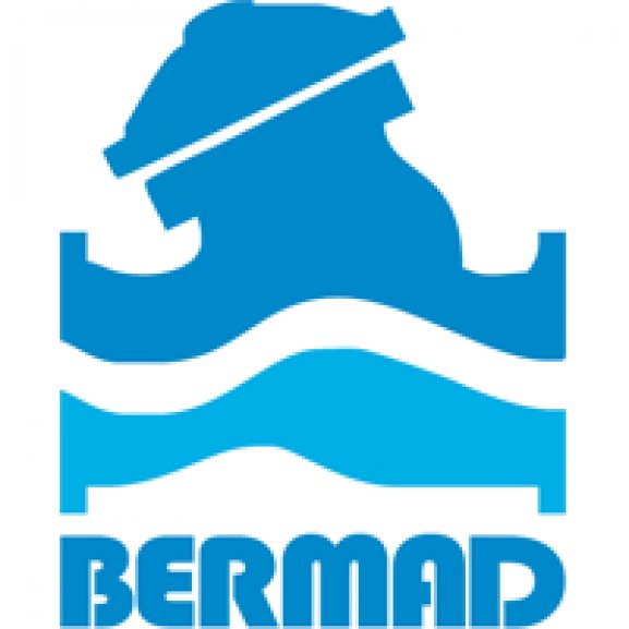 BERMAD Control Valves Logo wallpapers HD