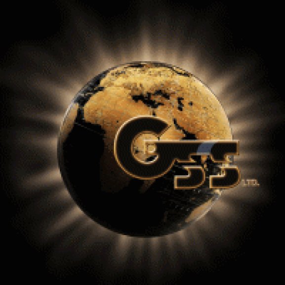 GSS Gold Standard Solutions Logo wallpapers HD