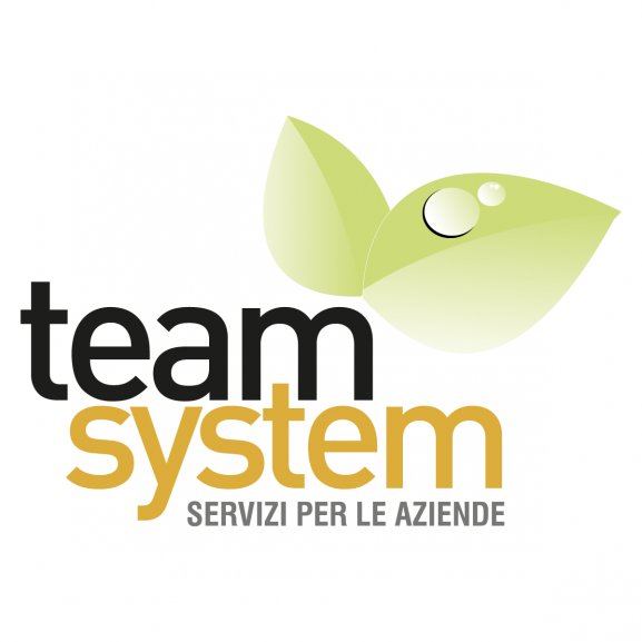 Team System servizi per le imprese Logo wallpapers HD