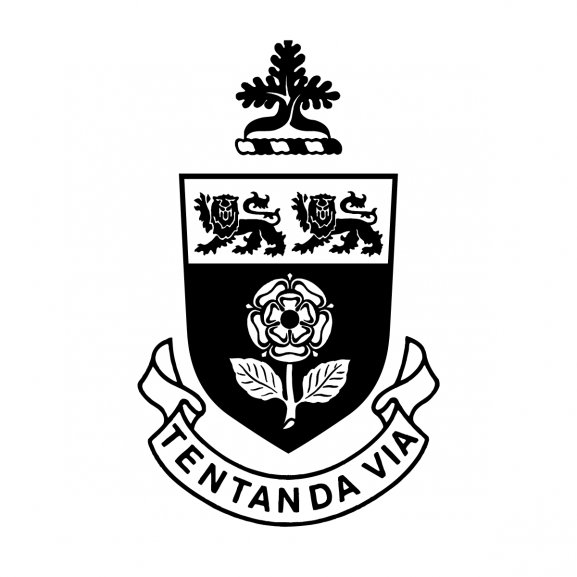 York University Logo wallpapers HD