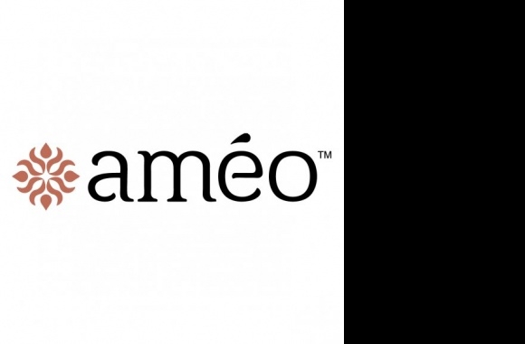 Ameo Logo download in high quality