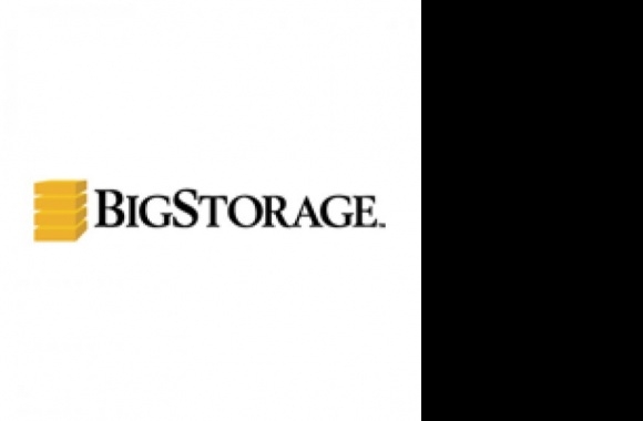 Big Storage Logo download in high quality