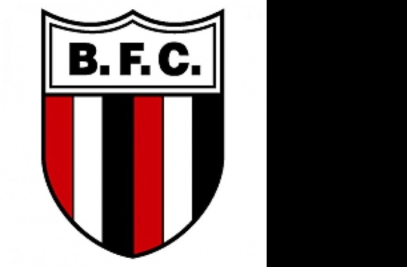 Botafogo SP Logo