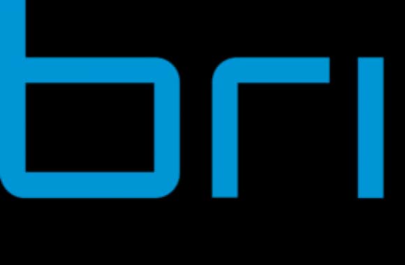 Bright Group Logo download in high quality
