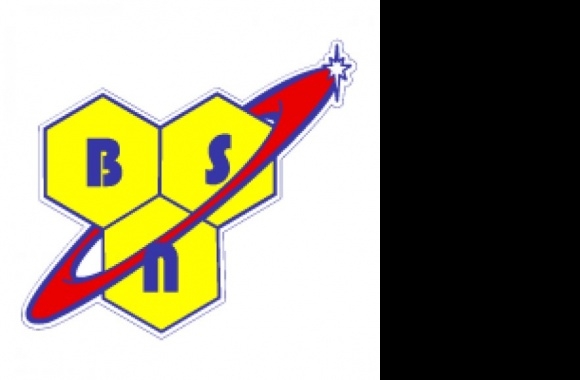 BSN Logo download in high quality