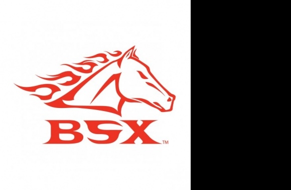 BSX Logo download in high quality