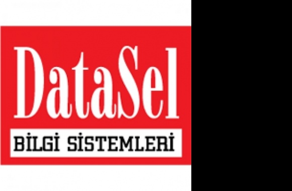 DataSel Bilgi Sistemleri Logo