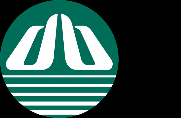 Denway Motors Logo download in high quality