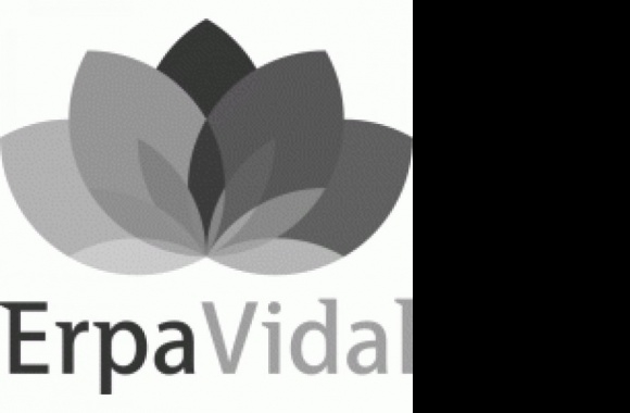 erpavidal Logo download in high quality