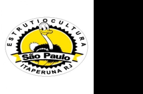 Estrutiocultura Sao Paulo Logo download in high quality