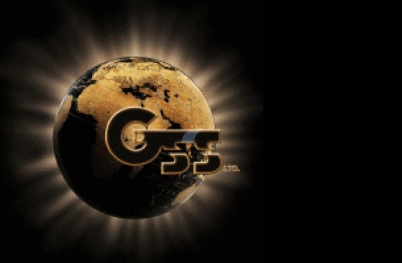 GSS Gold Standard Solutions Logo download in high quality