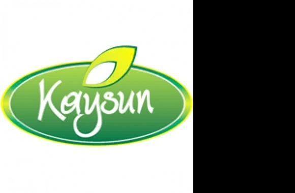 Kaysun Logo download in high quality