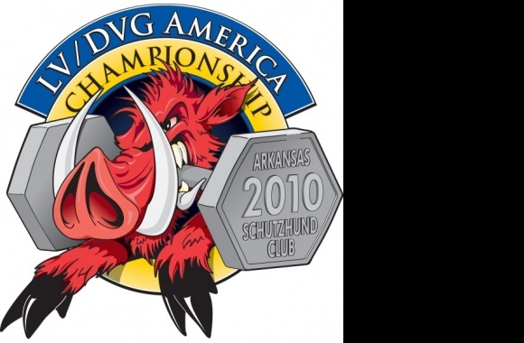 LV-DVG America 2010 Championship Logo