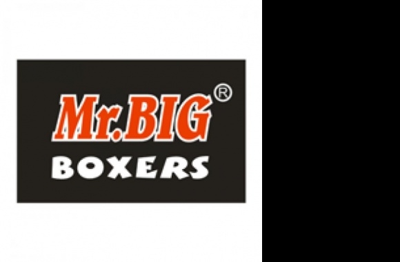 Mr.BIG Logo download in high quality