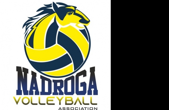 Nadroga Volleyball Association Logo
