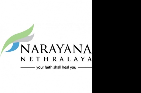 Narayana Nethralaya Logo download in high quality