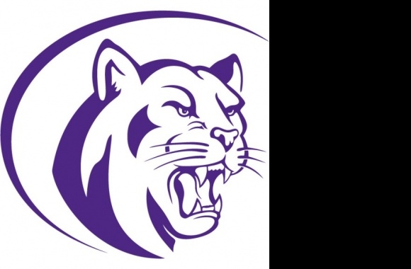 Paschal High School Logo