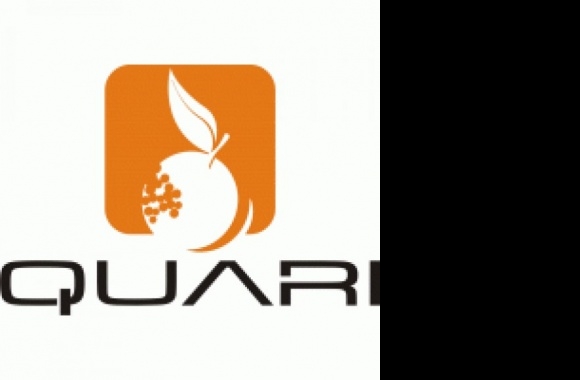 Quari Logo download in high quality