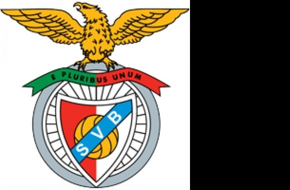 S Viseu e Benfica Logo