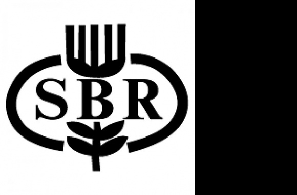 SBR Bank Logo download in high quality