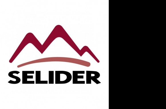 Selider Logo download in high quality