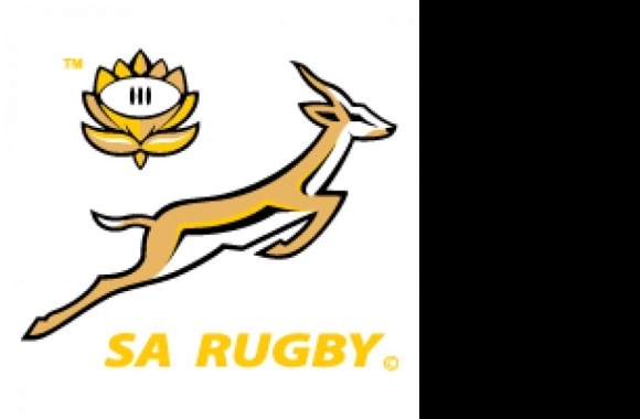 Sudafrica Rugby, South Africa Logo