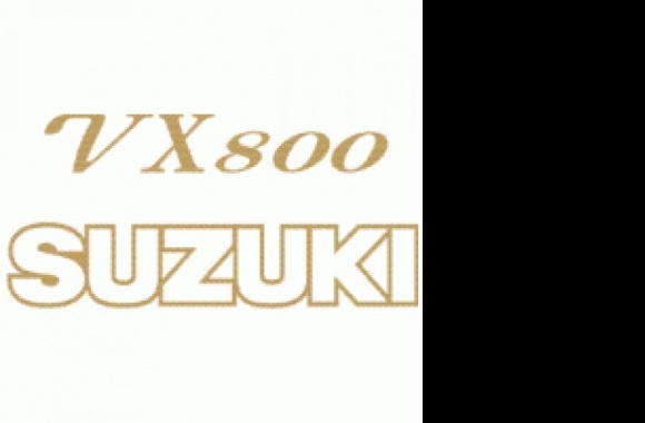 Suzuki VX 800 Logo