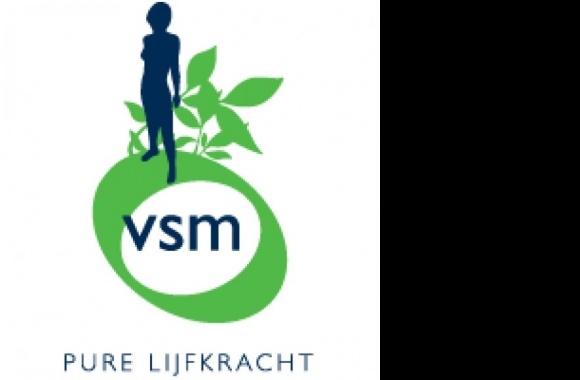 VSM Logo download in high quality