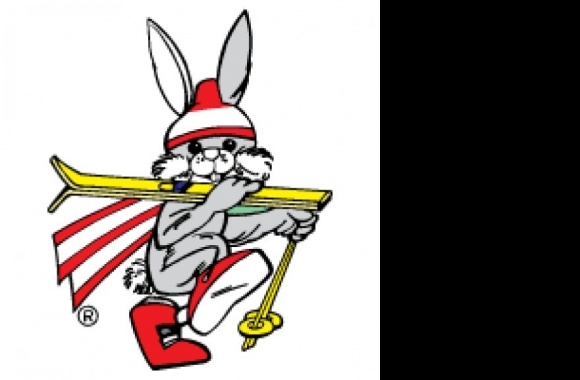 The Night Race Schladming Mascot Logo