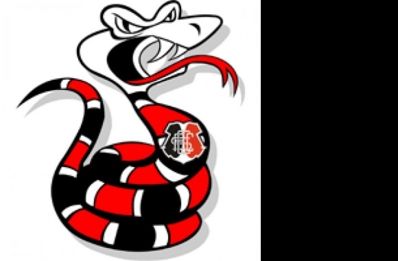 Santa Cruz Futebol Clube - Mascot Logo