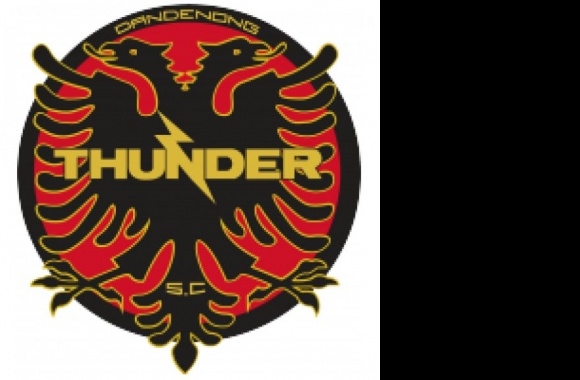 Dandenong Thunder SC Logo download in high quality