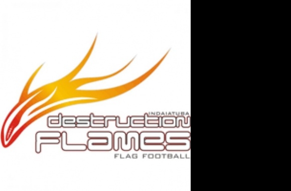 Destruction Flames Logo download in high quality