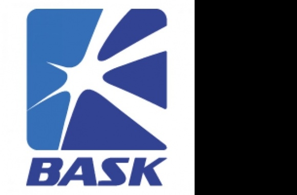 bask Logo download in high quality