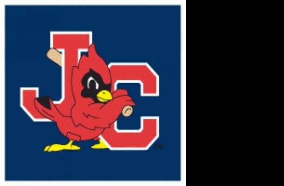 Johnson City Cardinals Logo download in high quality