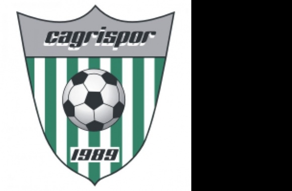 Nuernberg Cagrispor Logo download in high quality