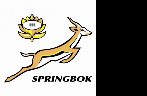 Springbok Rugby Logo download in high quality