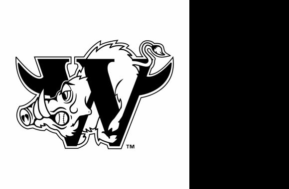 Winston Salem Warthogs Logo download in high quality
