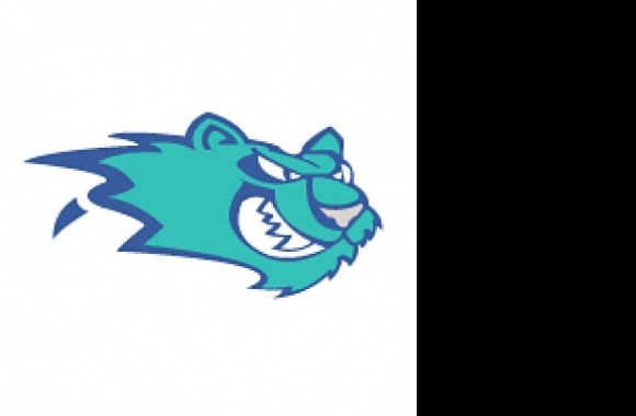 Worcester IceCats Logo download in high quality